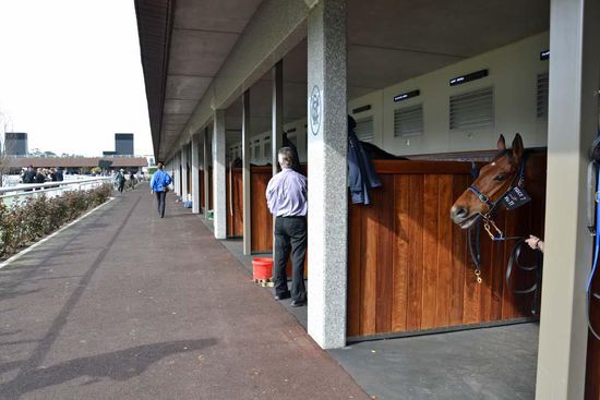 Die sogenannten "Stalls", wo jedes Pferd einen Ständer bekommt. 2-3 Stunden vor Rennbeginn muß das Pferd da sein. Die Besucher der Rennbahn können sich die Pferde hier schon anschauen. Über jedem Pferd ist eine elektrische Anzeige, wo abwechselnd Nummer des Rennens, Name des Pferdes, Trainer und Jockey angezeigt wird. Somit hat man alle Informationen beisammen.