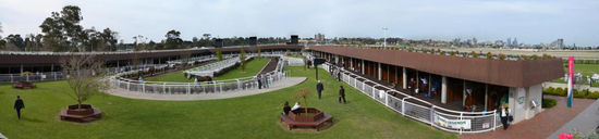 Panorama des Vorbereitungs-Führring, den "Stalls" und im Hintergrund das Geläuf der Rennbahn mit der Skyline von Melbourne.