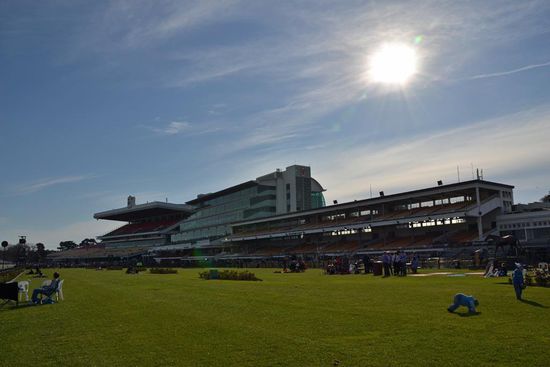 Die Tribünen der Rennbahn Flemington. Im Innenbereich der Rennbahn werden gerade noch weitere Tribünen und viele Zelte für das "Melbourne Spring Racing Carnival 2011" aufgebaut werden.
