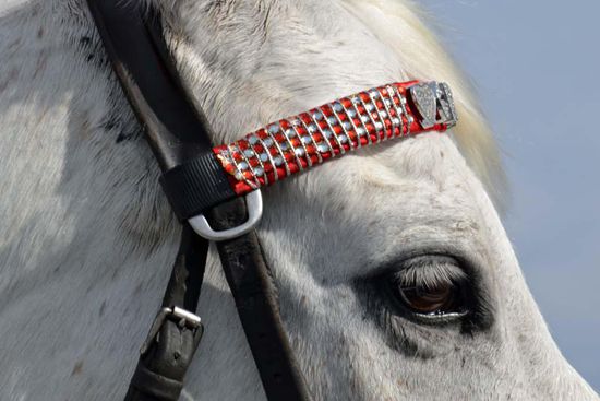 Nicht nur die Menschen ziehen sich chic an, auch die Pferde bekommen Schmuck - natürlich mit viel Glitzer.