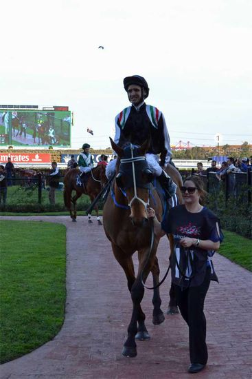 Elusive Touch vor dem Rennen mit Stalljockey Michael Rodd an der Hand von Lauren.