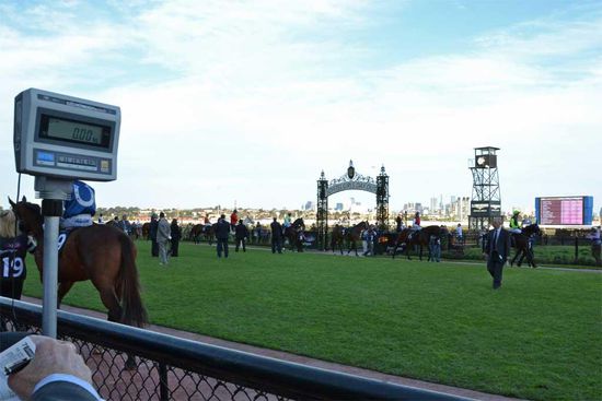 Blick über den Parade Ring mit einer Waage im Vordergrund und dem Tor zum Geläuf im Hintergrund.