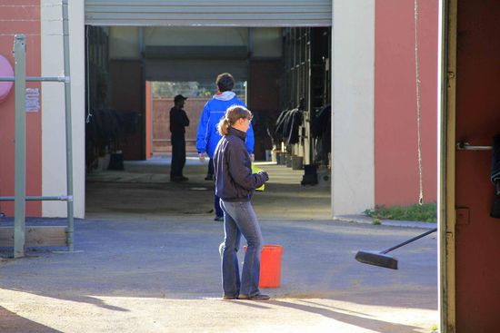 Mehr Spaß macht es doch da, die australische Arbeitseinstellung zu teilen: anderen bei der Arbeit zuzuschauen.... Spaß bei Sete... So schlimm wie in Ägypten ist es hier nicht, aber an der Arbeitseinstellung könnte man schon noch ein wenig arbeiten bei dem einen oder anderen in Australien.