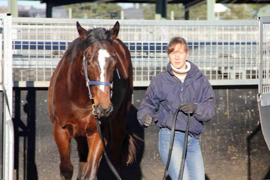 Leider etwas unscharf.... Sensational Card und ich