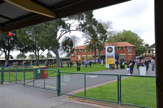 Und das war unser Ausblick für drei Stunden.... ein kleiner Bereich von Caulfields Rennbahn.