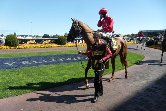 Celebrity Girl und ich in Caulfield im Führring im "Schweppes 1000 Guineas"-Rennen