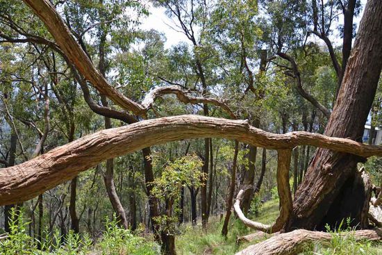 Unser Ausblick bergab.....