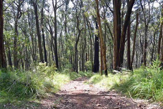 Kurzer Stopp zum Luft holen... Der Weg hier liegt schon hinter uns.