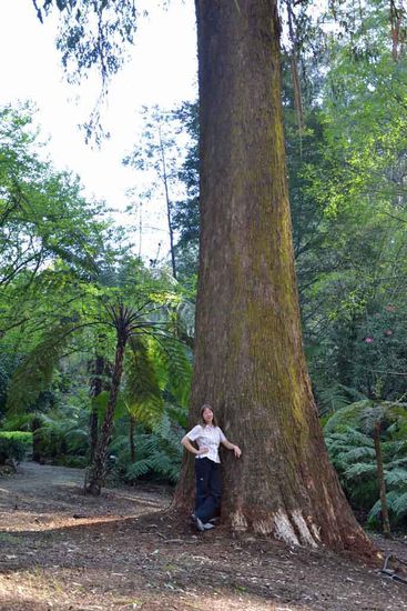 Hier nur ein kleiner Größenvergleich