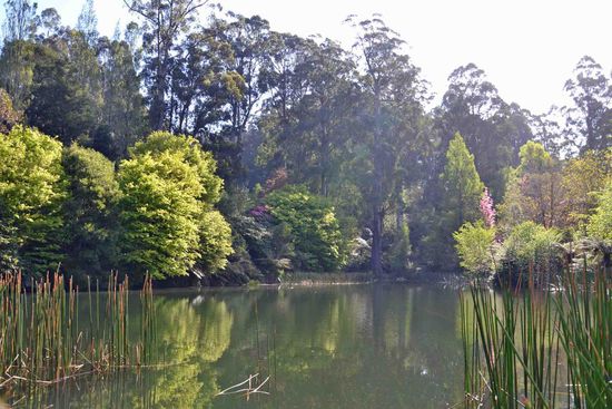 Ein kleines Paradies auf Erden.....