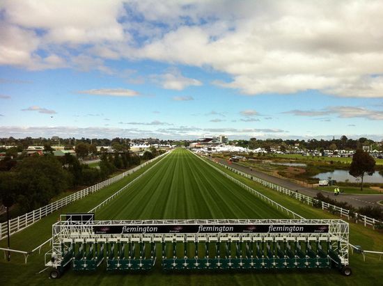 Der Blick auf die 1200 Meter lange Gerade mit Startmaschine. Das Foto ist vom Samstag (29.10.), wo wir besseres Wetter hatten. Es war der Victoria-Derby-Day. Was würde ich dafür geben, einmal hier ein Rennen zu reiten.... 