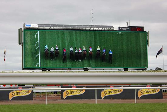 Die Pferde sind abgesprungen und formieren sich nach dem Start.