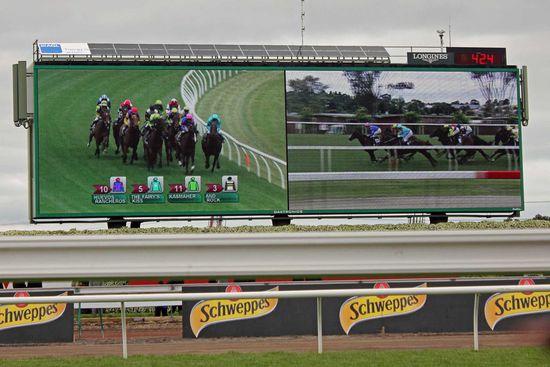 Die Pferde kommen durch den Schlußbogen in die Zielgerade.