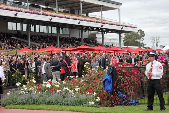 Der Einzug der Pferde in den Führring. Überall standen um den Führring Security-Leute.... Wozu bitte schön??? Also zum Teil finde ich das ja schon ein wenig übertrieben hier...
