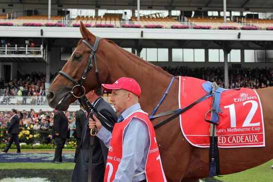 Startnummer 12 - Red Cardeaux - der aus England kommende, um einen Wimpernschlag geschlagene Zweite.