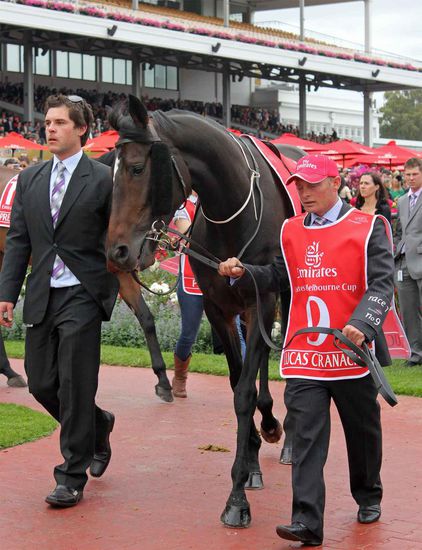 Startnummer 09 - Lukas Cranach - die deutsche Vertretung ist nach einem sehr guten Rennen auf einen knappen dritten Platz gelaufen.