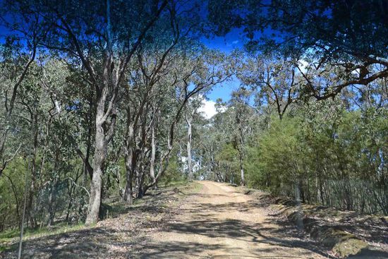 Mein Blick aus dem Auto auf unseren Weg....