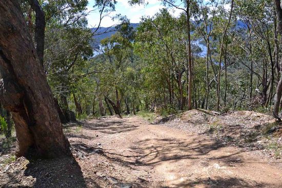 Auch bei mir hört der Spaß irgendwann auf...  "Fair enough"- würde der Australier sagen....
Diesen Weg bin ich nicht mehr gefahren, da ich ja eigentlich keinerlei Erfahrung mit Off-Road habe und nicht einmal weiß, wie man 4-WD benutzt. Dieser Weg hatte sicherlich eine Neigung von mehr als 45° - Die Steigung kommt bei Fotos ja leider nie so richtig rüber. Aber das hier war schon echt "WEIRD" (mein neues Lieblingswort)