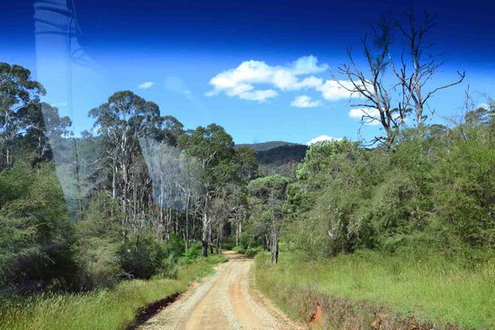 Und wieder ein Blick durch die Frontscheibe.... Die Landschaft ändert sich hier sehr schnell....