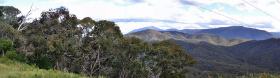 Panorama der mit Ekalyptus bewaldeten Hügel am Lake Eildon.