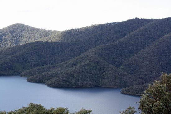 So etwas wie einen Strand gibt es an diesem Stausee nicht (solange der See nicht austrocknet). Die Bäume gehen direkt bis an die Wassergrenze