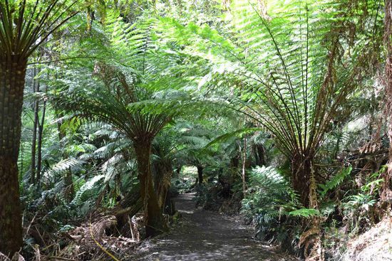 Bei bestem Wetter und in vollkommener Ruhe (wir sind alleine) läßt sich der NP bestens genießen....