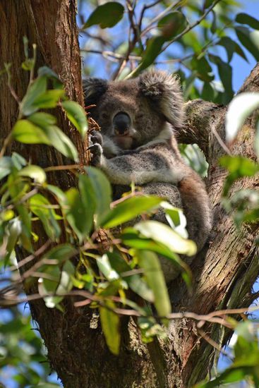 Während Mama uns ein wenig grummelig anschaut.....