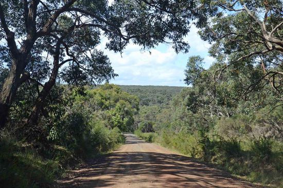 Je näher wir wieder dem Wasser kommen, umso flacher wird die Landschaft.