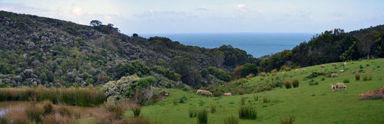 Ein erster kurzer Stopp direkt an der Straße... So stelle ich mir eher Irland vor, nicht aber Australien... 