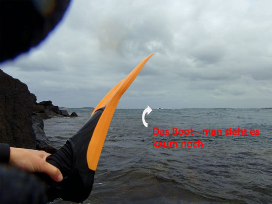 Cat winkt mit ihrer orangenen Flosse - vielleicht hilft es ja, doch bei der Entfernung vom Boot zu uns mag ich das bezweifeln.