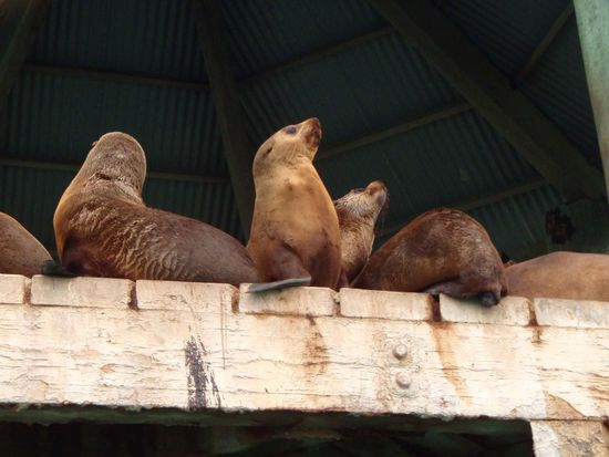 Aber was macht man nicht alles, um ein wenig Wildlife zu erleben.....