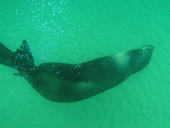 Die sind einfach nur zum Knuddeln!!!