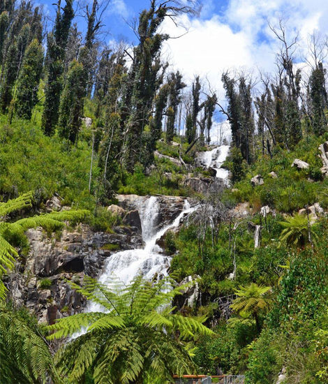 Panorama von den 5 Kaskaden und den Überbleibseln der verbrannten Eukalypten. Einzig der Farn und die Bodenbedeckung geben ein frisches Grün.