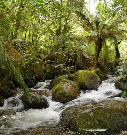 Einfach ohne Worte.......