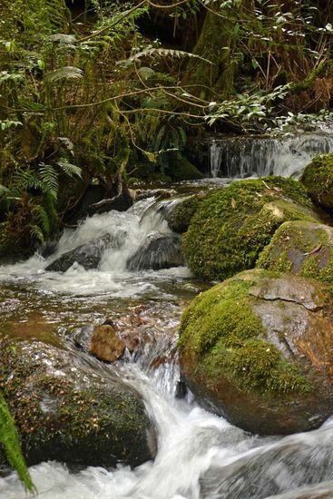 Nahaufname vom Wasserspiel des Creeks
