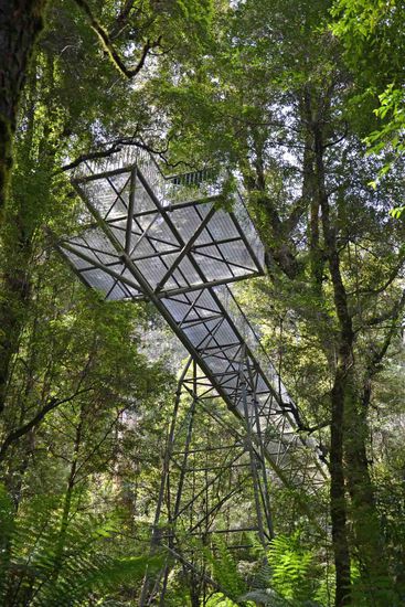 Die 15 Meter hohe Aussichtsplattform in Form eines Kreuzes in den Gipfeln der Bäume von unten gesehen.