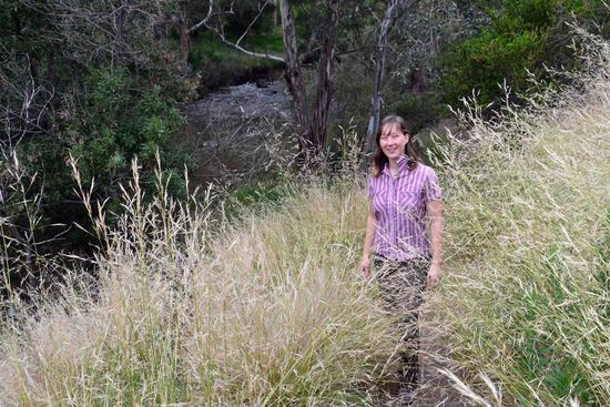 Auf dem Weg am Jackson Creek zurück Richtung Auto... Noch ist das Wetter einigermaßen gut, immerhin ist es noch recht warm und man kann mit "kurzen" Sachen wandern....