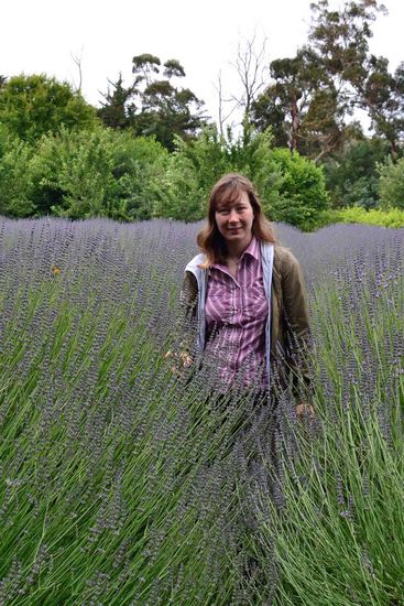 Tolle Lavendelfelder.... die ersten so in meinem Leben.... Noch ist es angenehm von den Temperaturen und immerhin wieder trocken...