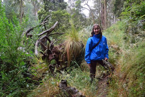 Tja... und so sah ich am Ende des Tages bei unserem Aufstieg vom Wasserfall zur Aussichtsplattform aus: mit Winterjacke von meinem Stall (wir haben wohl gemerkt Sommer!). Irgend etwas läuft hier also falsch....