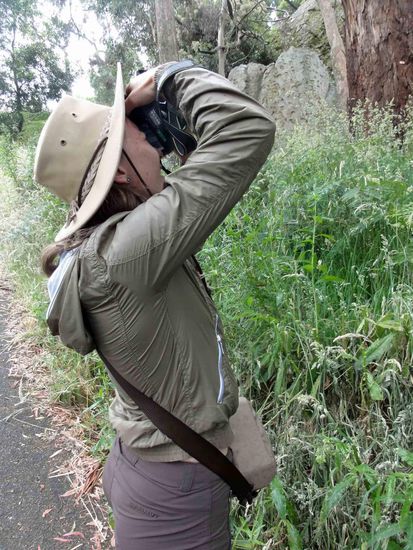 Na was fotografiert sie denn da schon wieder???