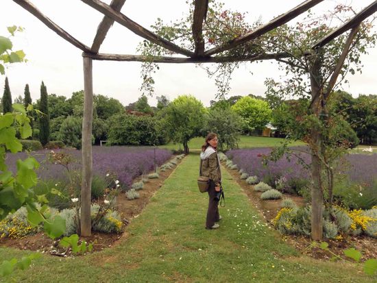 Ist es nicht schön hier? Aber wo ist Sommer, Sonne, Sonnenschein?