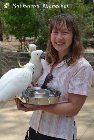 "Ring frei..." - hier habe ich die Schmerzensschreie schon hinter mir und kann wieder lächeln.... Die Arme sind aber schon gut zerkratzt.... Ich mag sie trotzdem, die Kakadus...