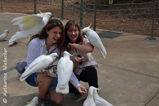 Wie man sieht, hat Cat schnell dazu gelernt und hat sich nach den vielen Kratzern auf ihrer Schulter und den Armen ihre Jacke angezogen. Ich war mit meiner Bluse ganz gut bedient, wobei die Arme schon ungeschützt waren... Aber wir hatten jede Menge Spaß....