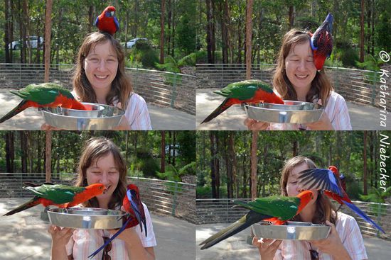 Diese beiden waren sich nicht ganz so einig und haben ein wenig rumdiskutiert....