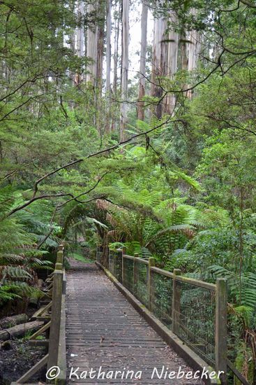 Ist das nicht schön hier....??? Wetter hielt sich im Großen und Ganzen heute ganz tapfer... Teilweise bewölkt und etwas frisch.... ideal zum Wandern....