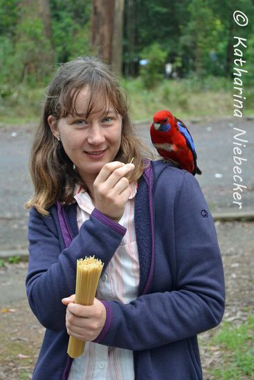 Noch gibt es jede Menge rohe Spaghetties.... aber nicht mehr lange....