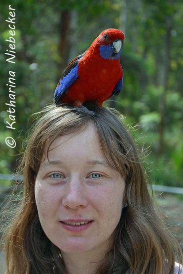 Sie saßen einem überall..... Wie soll ich den so bitte schön kochen???
