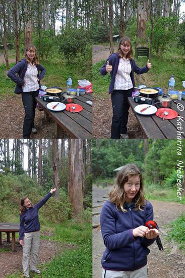 Oben: Das Essen ist fetig....
Unten: Am nächsten Morgen werden noch einmal die Rosellas angelockt, um ein ganz spezielles Foto zu machen....