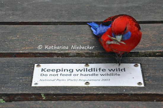 ..... und zwar das hier.... Muß ich noch was sagen??? 