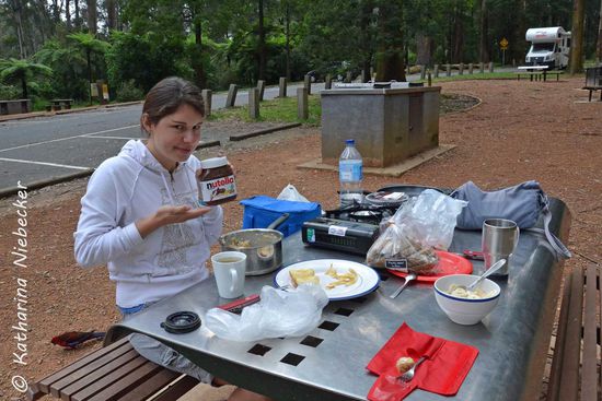 Ein gesundes Frühstück in der Wildness: frischer Ingwertee, Porridge mit Apfel und Banane, Vollkorntoast (in der Pfanne geröstet - sehr lecker) und Nutella. Na gut, Nutella ist  da nicht ganz so gesund, aber man muß sich ja auch mal was gönnen.... 